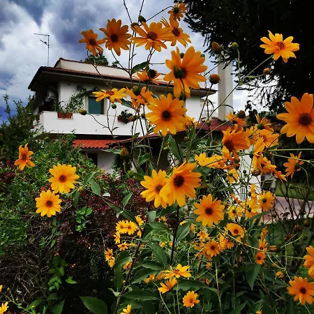 بيت للعطل Il Ciliegio With Garden